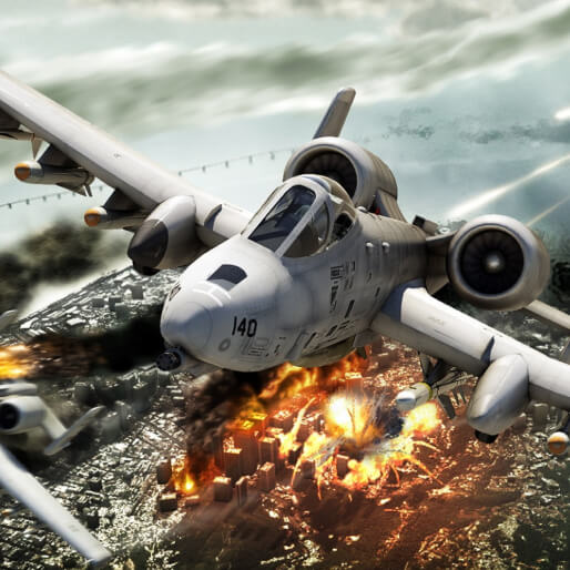 Everything You Need To Know About